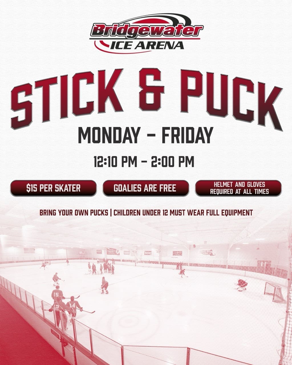 bia stick n puck NEW Large